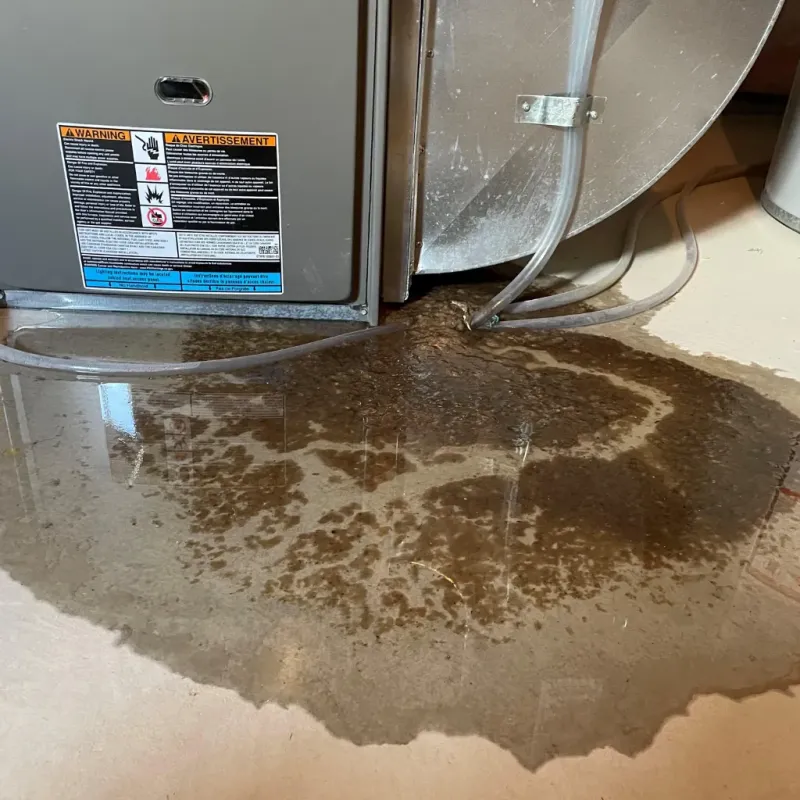 Appliance Leak Cleanup in Country Lake Estates, NJ